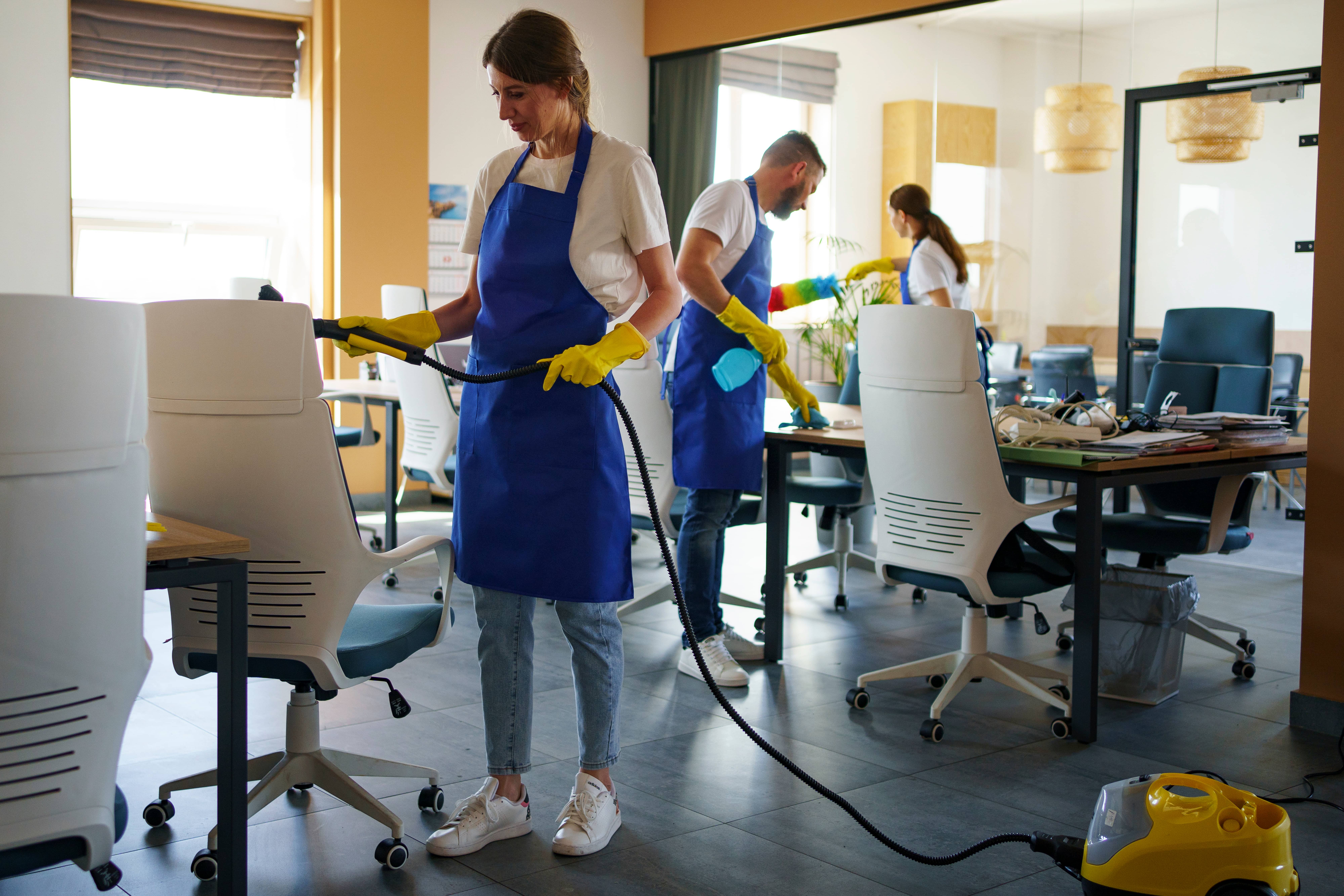 Professional Cleaning & More